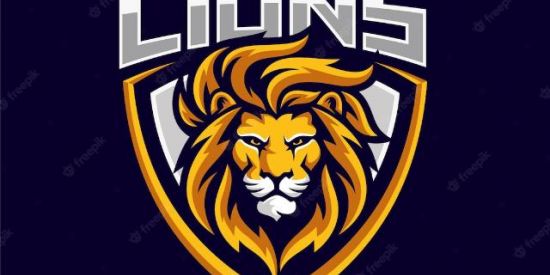 Imagem do grupo de WhatsApp Lions x treino