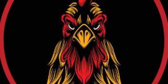 Imagem do grupo de WhatsApp CANAL FRANGOL0K0 TWICTH