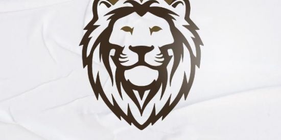 Imagem do grupo de WhatsApp Recrutamento TEM LIONS