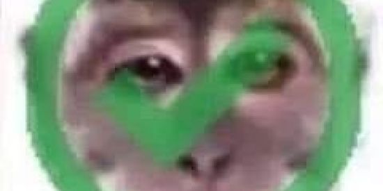 Imagem do grupo de WhatsApp Wild Rift🤓