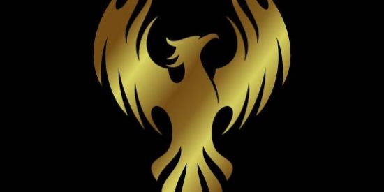 Imagem do grupo de WhatsApp Projeto Fenix Seleção 2.9 🦅