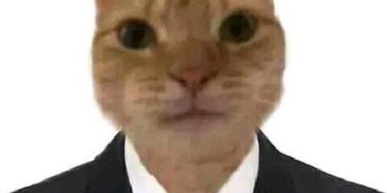 Imagem do grupo de WhatsApp 💬 Conversas WPT 💬