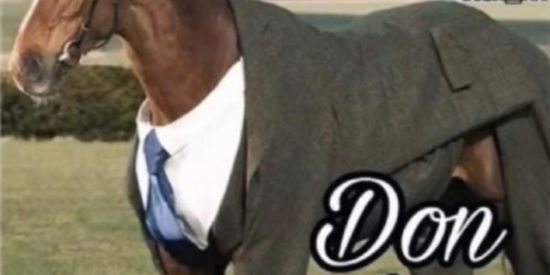 Imagem do grupo de WhatsApp Cavaloo