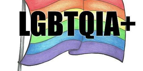 Imagem do grupo de WhatsApp LGBTQIA+🏳️‍🌈