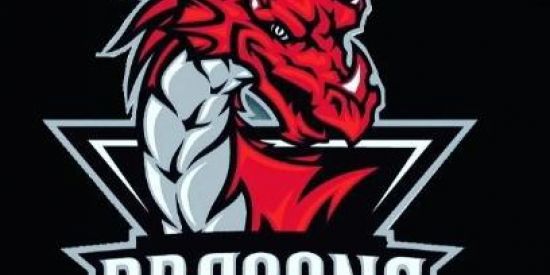 Imagem do grupo de WhatsApp RECRUTAMENTO DRG E-SPORTS