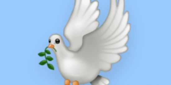 Imagem do grupo de WhatsApp Point da madrugada