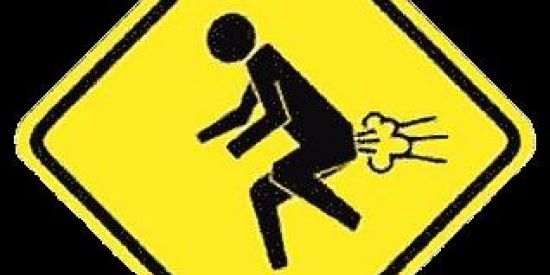 Imagem do grupo de WhatsApp Somos Uns Meros Parasitas