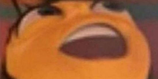 Imagem do grupo de WhatsApp àqueles webdons