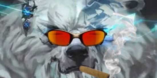 Imagem do grupo de WhatsApp League of Feeders