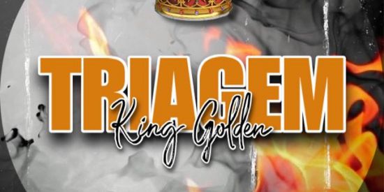 Imagem do grupo de WhatsApp ⚡️Tяιαgєм Kιиg Gοℓ∂єи⚡️