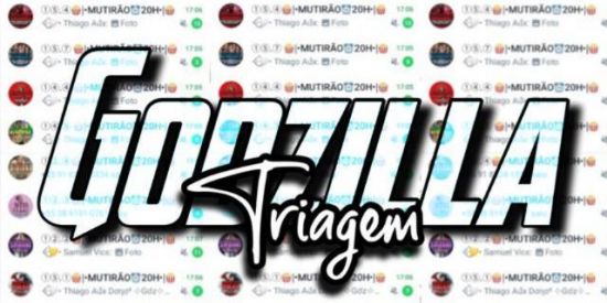 Imagem do grupo de WhatsApp 🔥•Triagem Aux F. Gdz•🔥