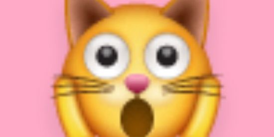 Imagem do grupo de WhatsApp Pequenos influencier 🥰