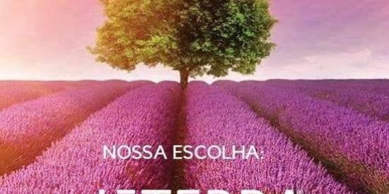Imagem do grupo de WhatsApp Óleos Essenciais doTERRA