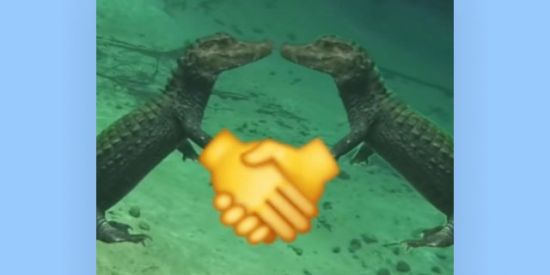 Imagem do grupo de WhatsApp Grupo dos calangos🤝