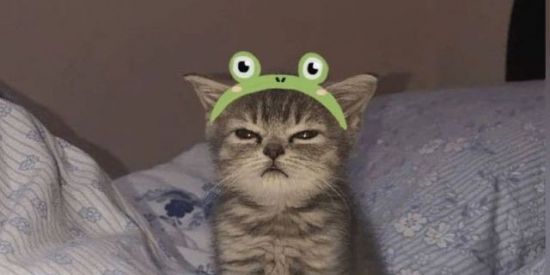 Imagem do grupo de WhatsApp VALE TUDO!