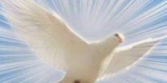 Imagem do grupo de WhatsApp GRATIDÃO INFINITA .❤️