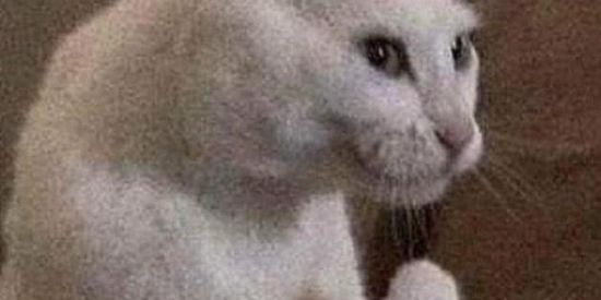 Imagem do grupo de WhatsApp ENGAJAMENTO 🌊