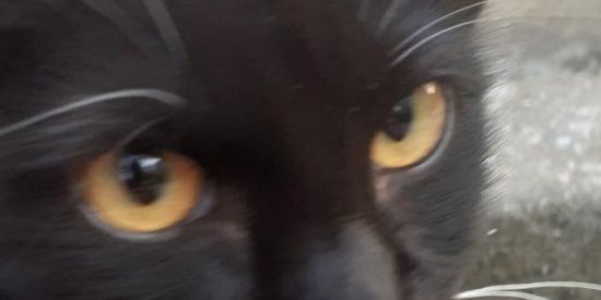 Imagem do grupo de WhatsApp ||| 𝐂𝐄𝐍𝐓𝐑𝐀𝐋 𝐀𝐃𝐌 |||