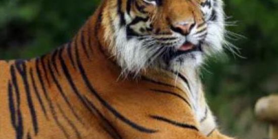 Imagem do grupo de WhatsApp Só os vencedores