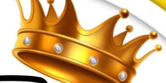 Imagem do grupo de WhatsApp 🦊TRIAGEM DE RESSACA🦊