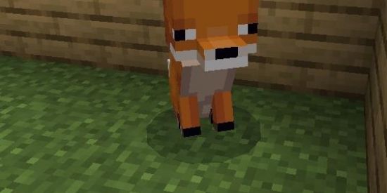 Imagem do grupo de WhatsApp Namoro e resenha sla a 19 anos