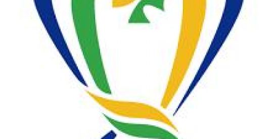 Imagem do grupo de WhatsApp COPA DO BRASIL EFOTBALL 🔥🎮