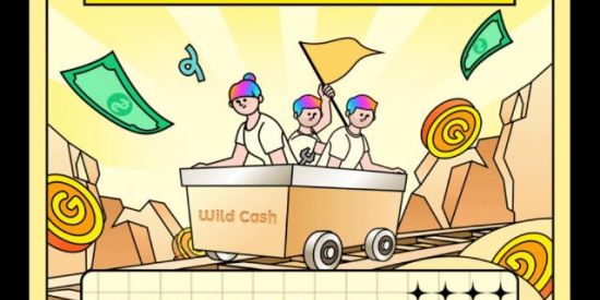 Imagem do grupo de WhatsApp Wildy cash 💰💰💰