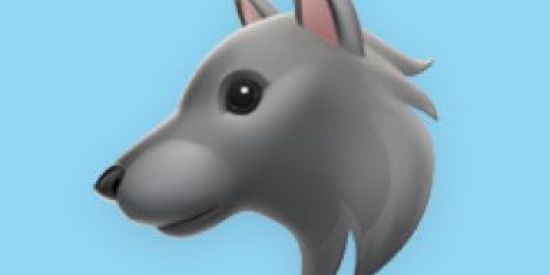 Imagem do grupo de WhatsApp EFC ALCATEIA🐺 - RECRUTAMENTO