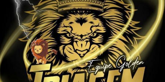 Imagem do grupo de WhatsApp 🧭TRIAGEM NAJAS🐍