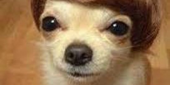 Imagem do grupo de WhatsApp 卂卩ㄖ匚卂ㄥㄚ卩丂乇  ᗪ乇 ㄥㄖㄩ匚ㄩ尺卂