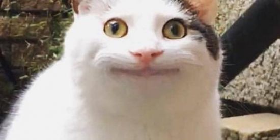 Imagem do grupo de WhatsApp Toxx Club