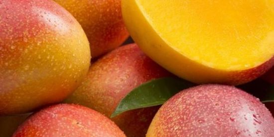 Imagem do grupo de WhatsApp 🔥Bloka Fruta Comunidade🔥