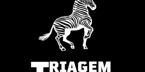 Imagem do grupo de WhatsApp TRIAGEM