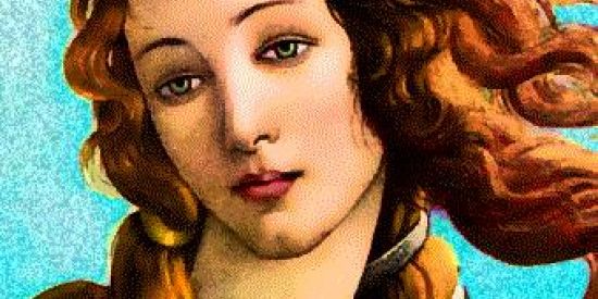 Imagem do grupo de WhatsApp Hermafroditas e desabafo