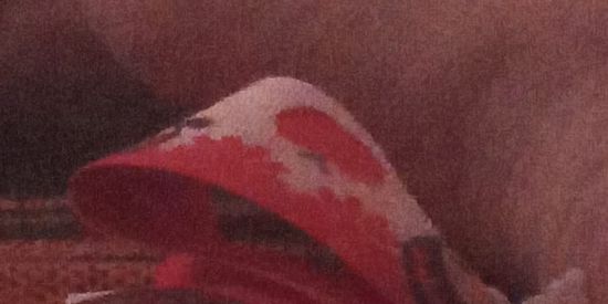 Imagem do grupo de WhatsApp Fofas🍑🍑