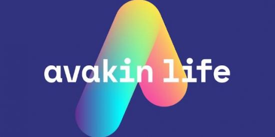 Imagem do grupo de WhatsApp Avakin Life