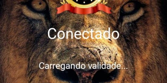 Imagem do grupo de WhatsApp Miro Painel  VIP