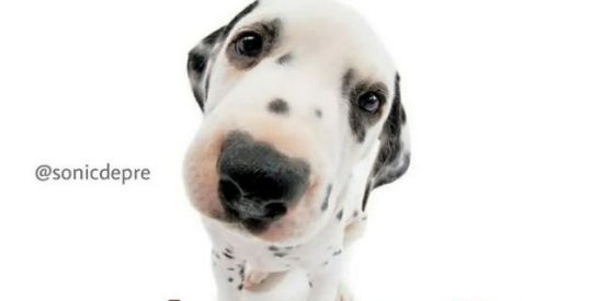 Imagem do grupo de WhatsApp AQU TUDO E PERMITIDO