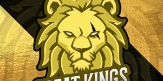 Imagem do grupo de WhatsApp ●TRIAGEM GK;S●