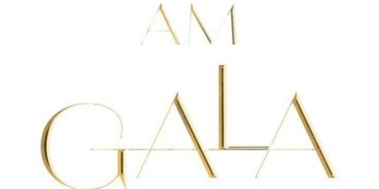 Imagem do grupo de WhatsApp ✨Met Gala✨