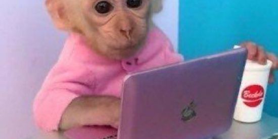 Imagem do grupo de WhatsApp Friends