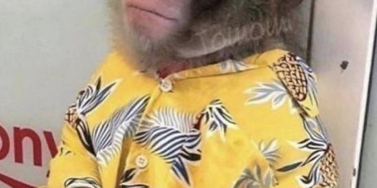 Imagem do grupo de WhatsApp Friends