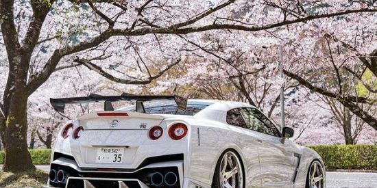 Imagem do grupo de WhatsApp Canal de divulgação love is war 5