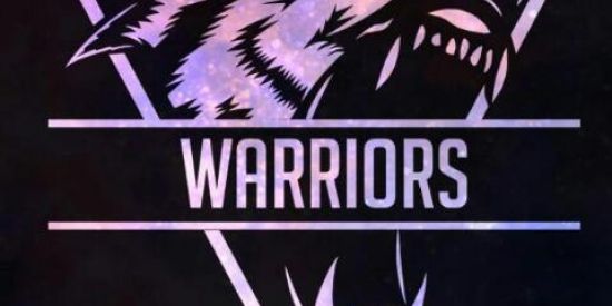 Imagem do grupo de WhatsApp Builder Warriors (Mine-Server)