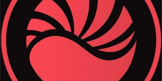 Imagem do grupo de WhatsApp status view