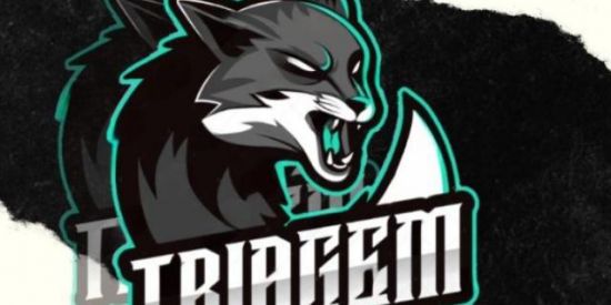 Imagem do grupo de WhatsApp Recrutamento