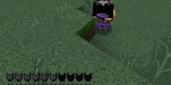 Imagem do grupo de WhatsApp REALMS MINECRAFT BEDROCK