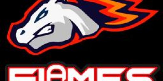 Imagem do grupo de WhatsApp robô VIP GRATUITO#02💎💰💣