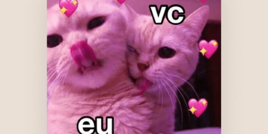 Imagem do grupo de WhatsApp Namoro e amizades