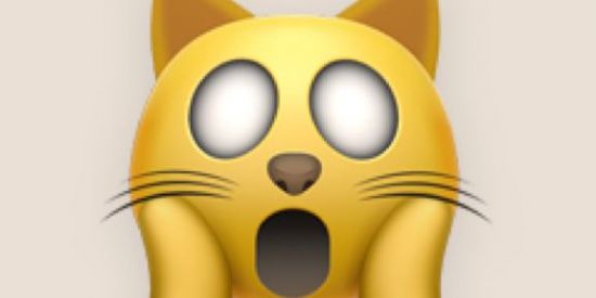 Imagem do grupo de WhatsApp AMIZADE SUMARÉ 😼